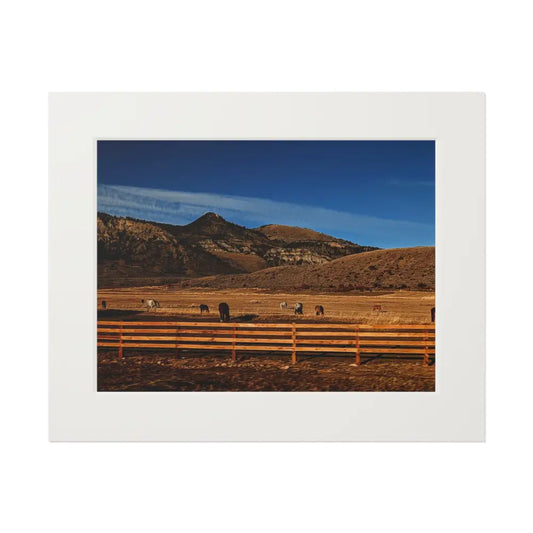 Herd of Horses Photography Print | Wildlife Landscape Art 20’’ x 16’’ (Horizontal) / White Home Decor