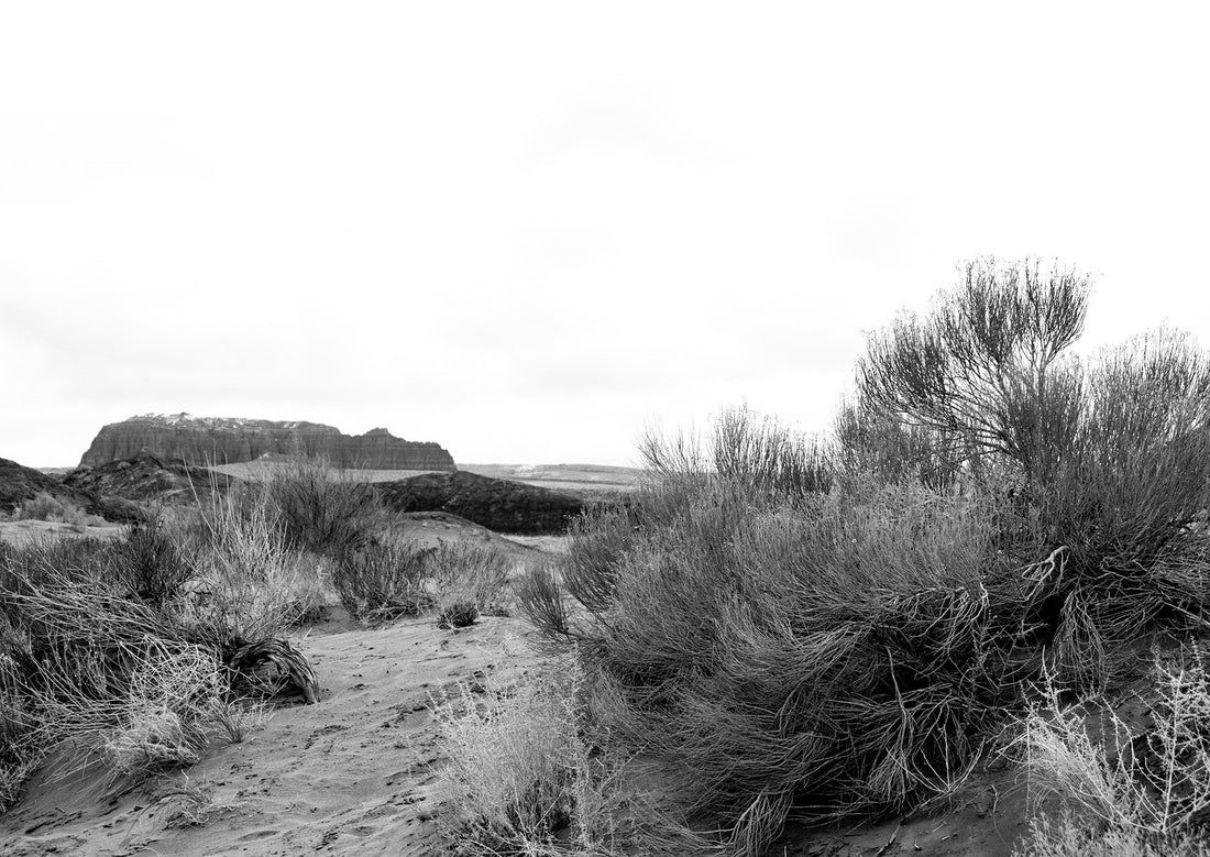 2026: Building a Life of Freedom and Quiet