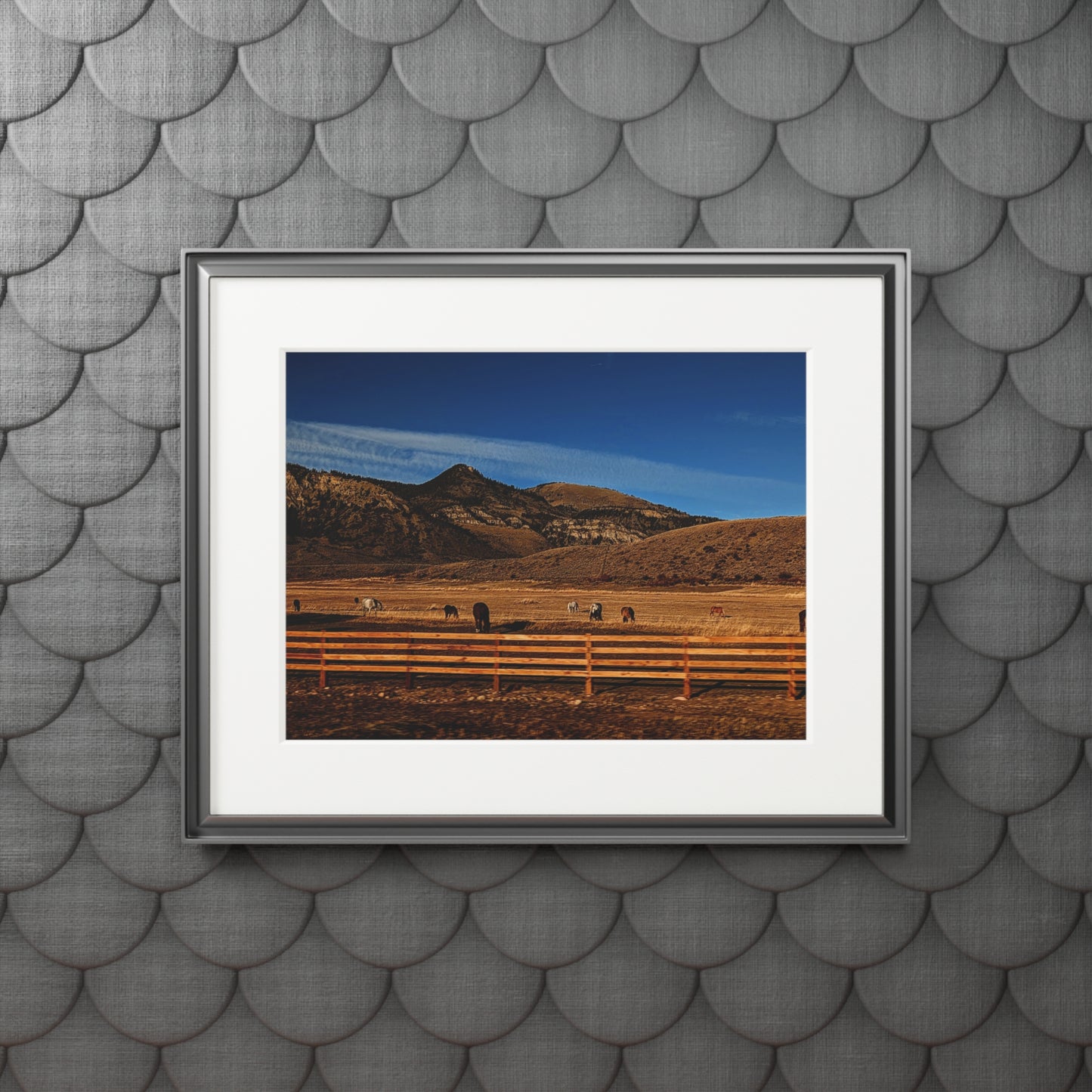Herd of the High Plains - Photography Art Print
