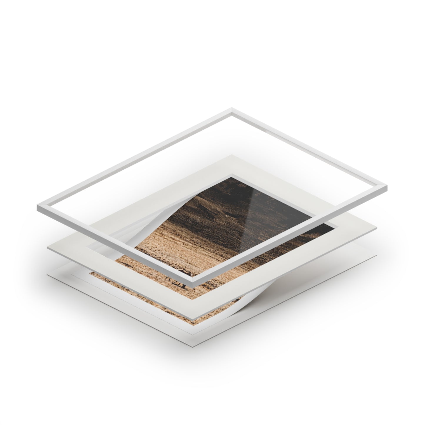 Solitary Graze - Photography Art Print