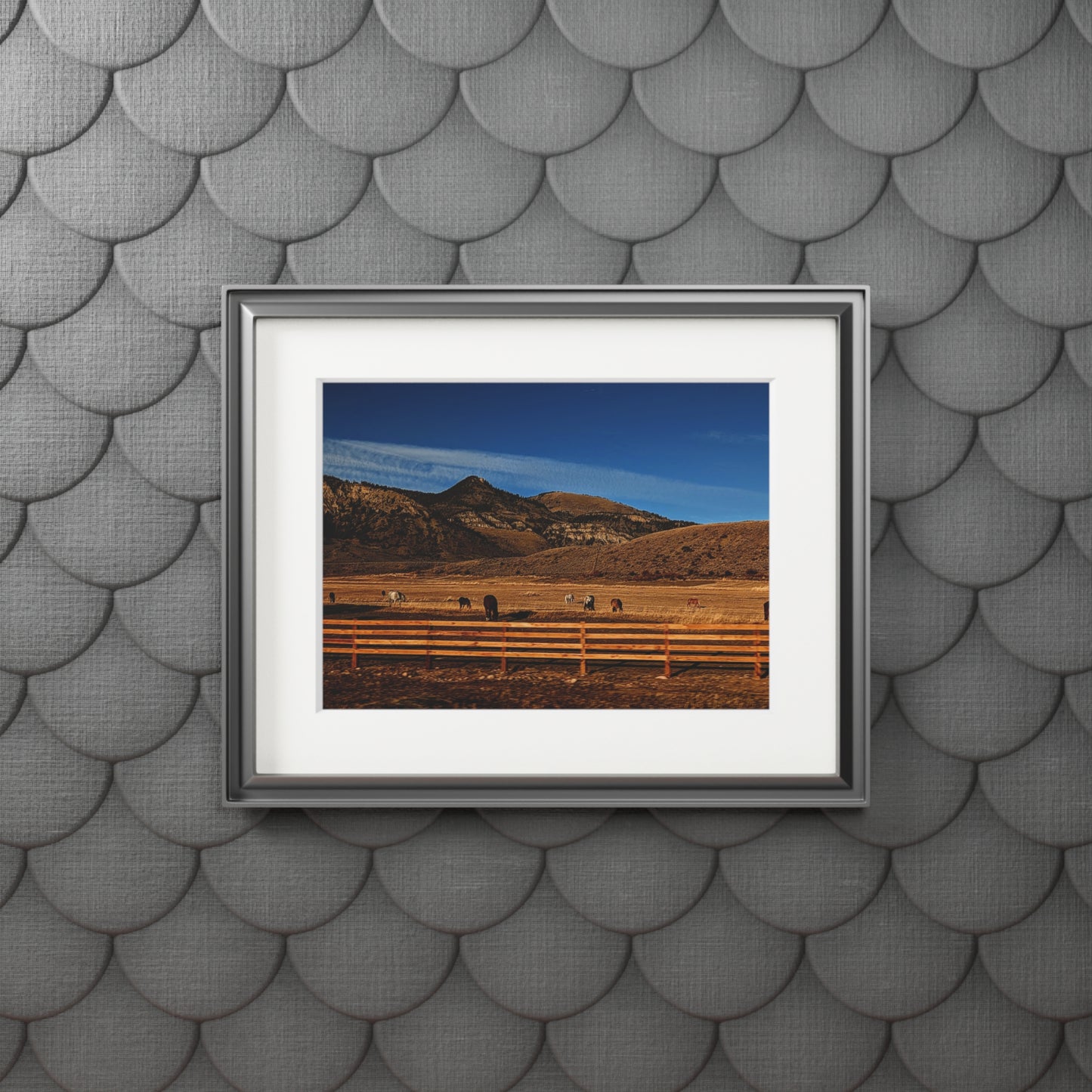 Herd of the High Plains - Photography Art Print