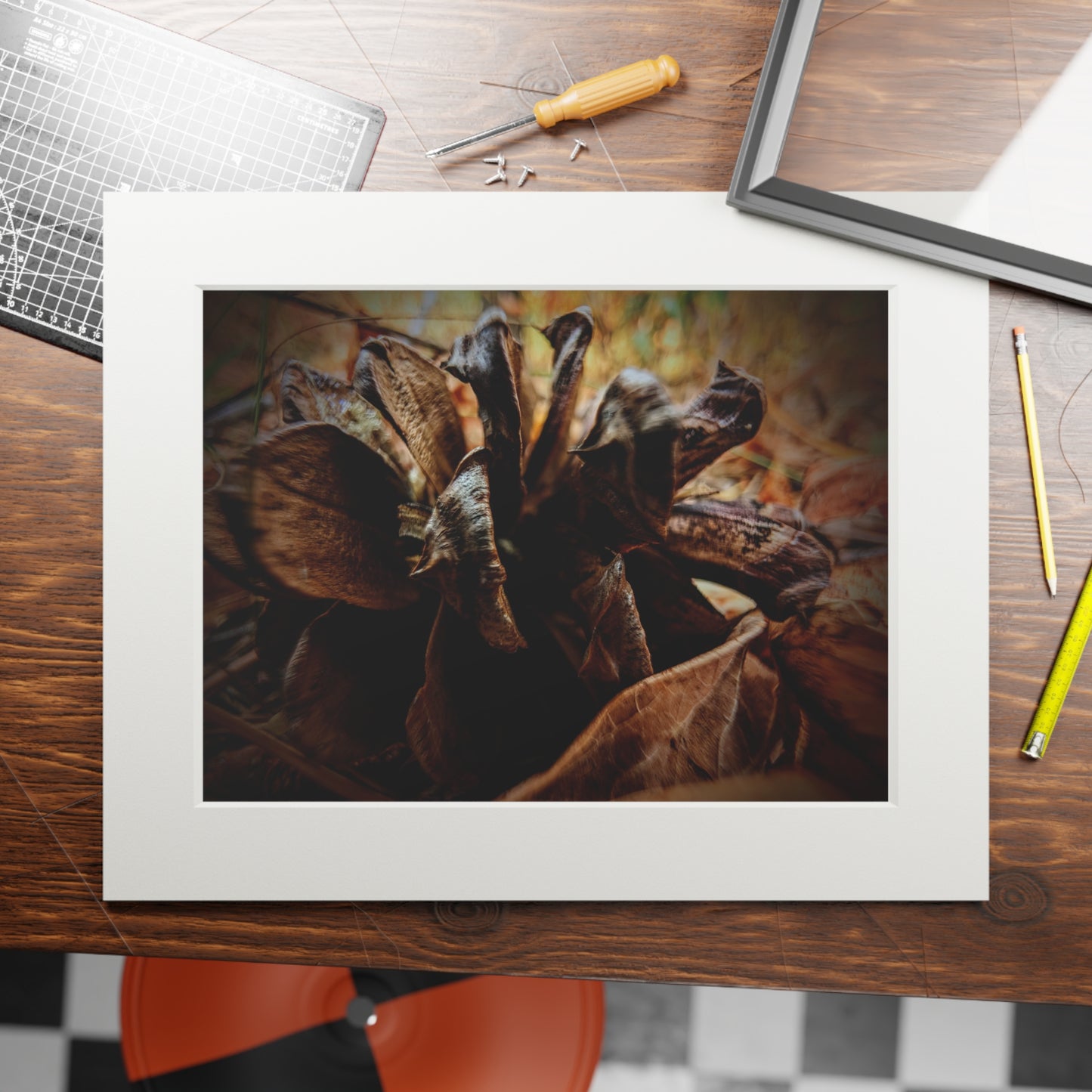 The Forest's Heart -  Photography Art Print