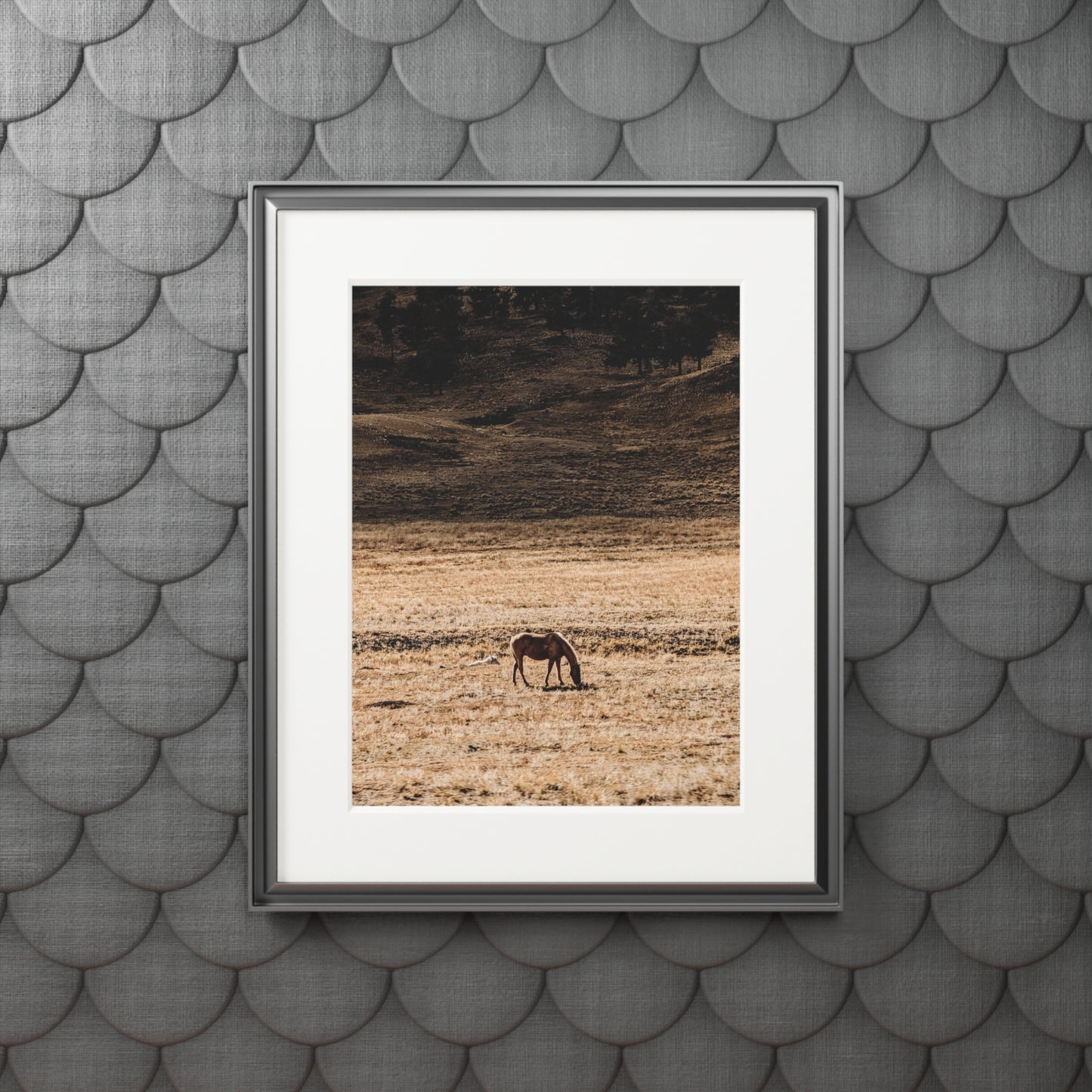 Solitary Graze - Photography Art Print