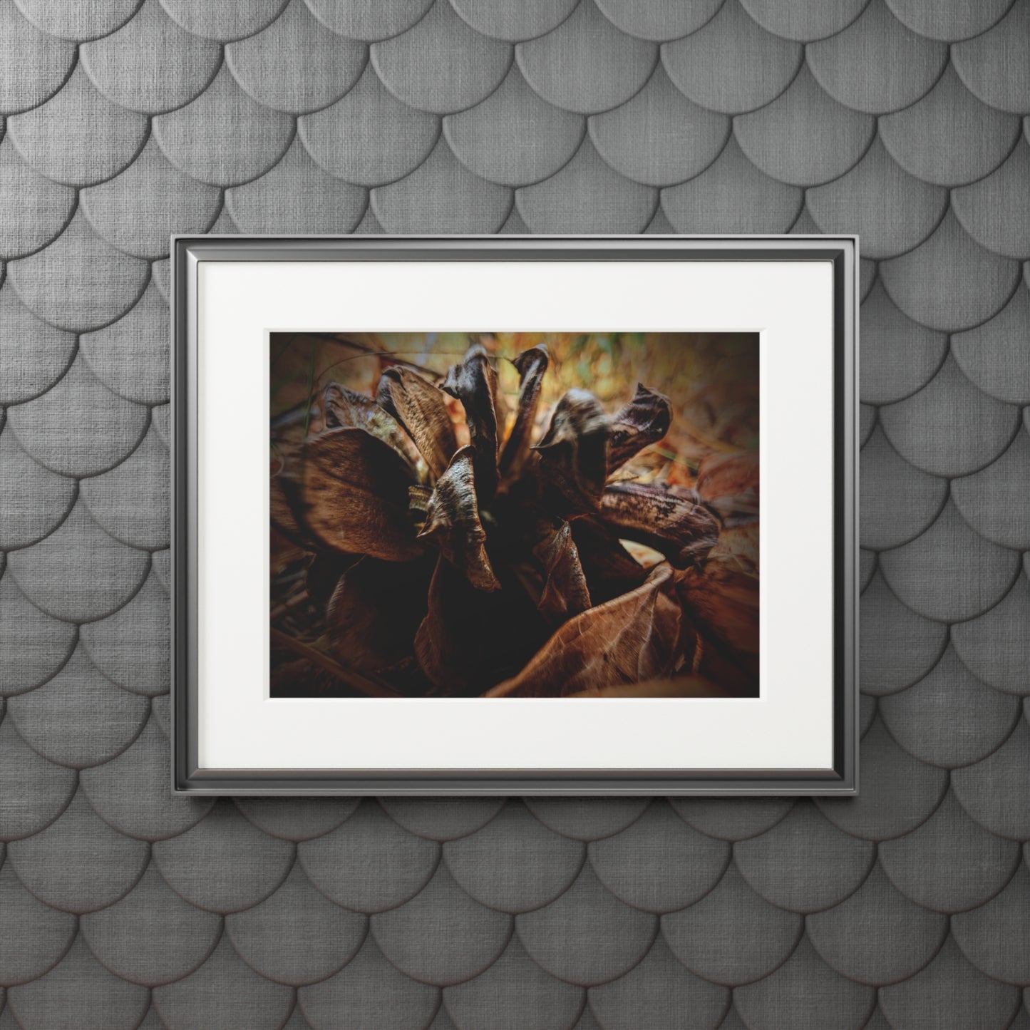 The Forest's Heart -  Photography Art Print