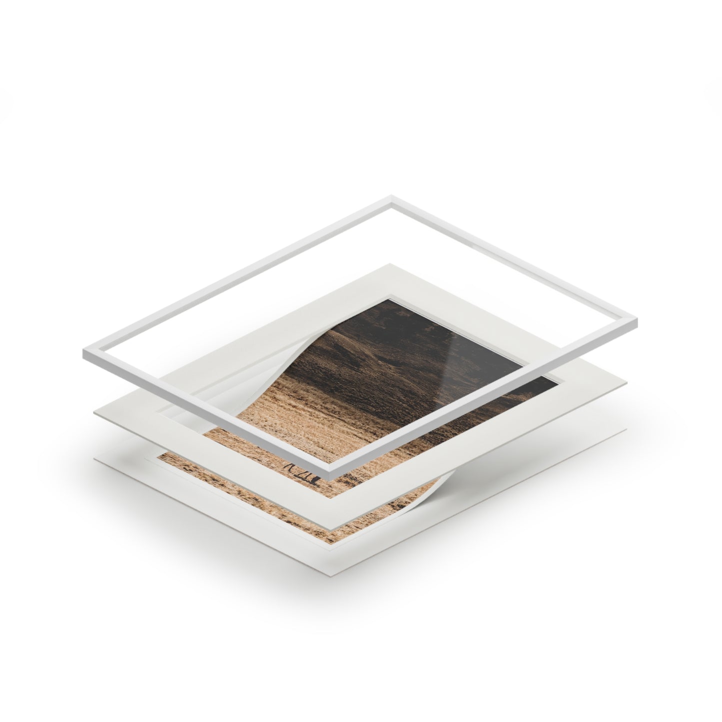 Solitary Graze - Photography Art Print