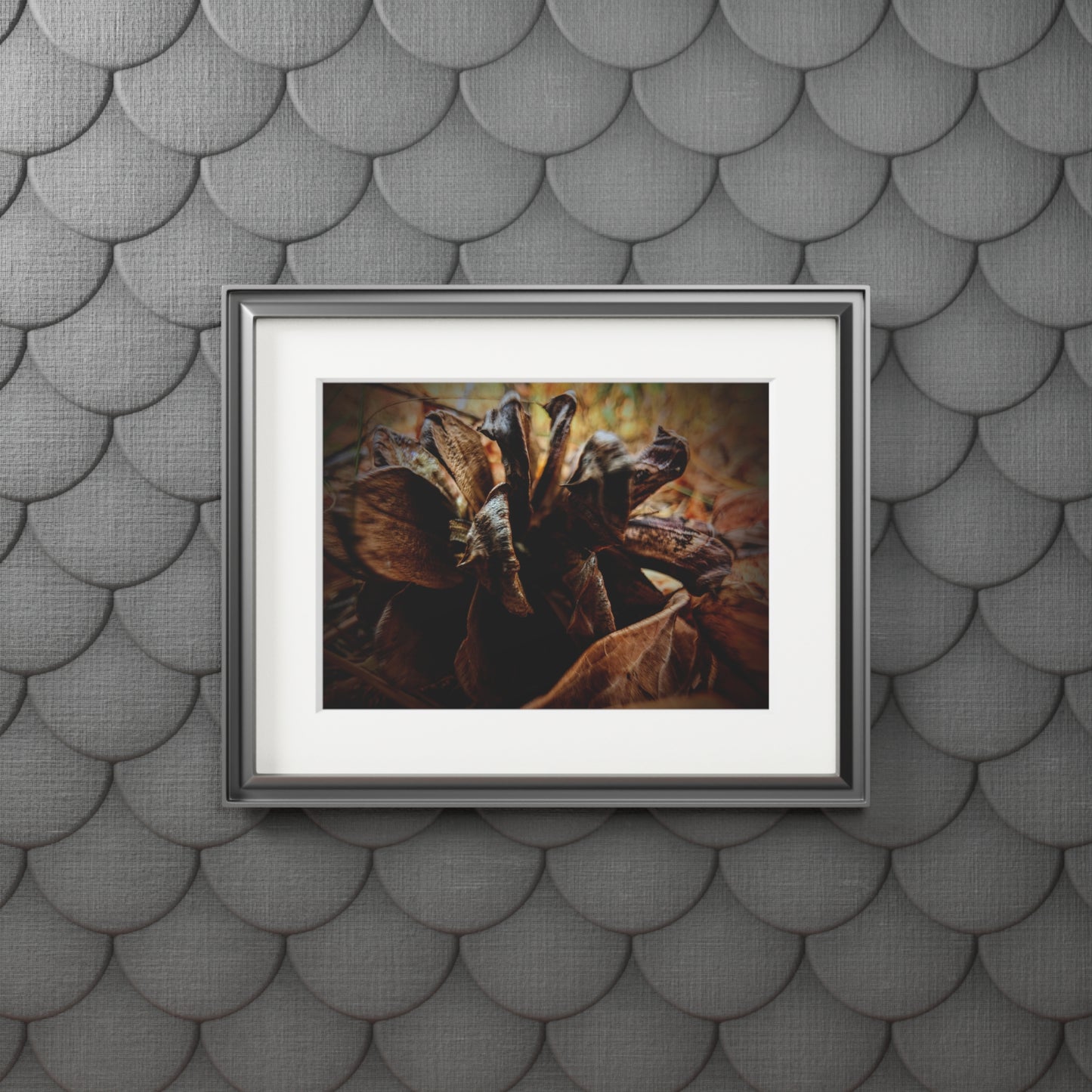 The Forest's Heart -  Photography Art Print