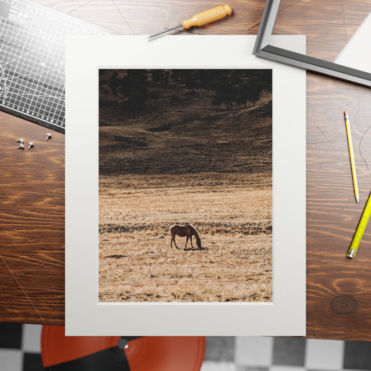 Solitary Graze - Photography Art Print