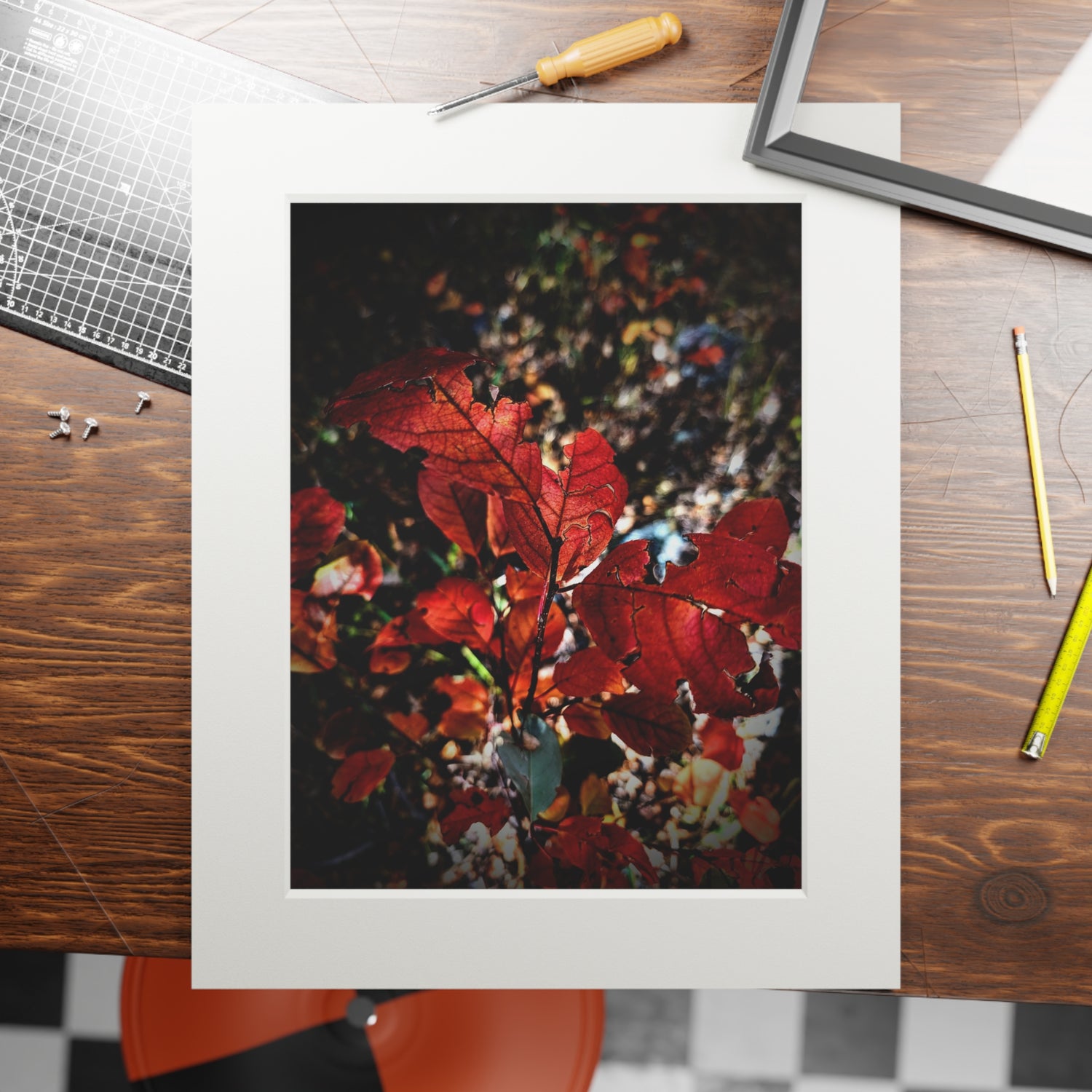 Framed photograph of red leaves on a wooden table with tools.
