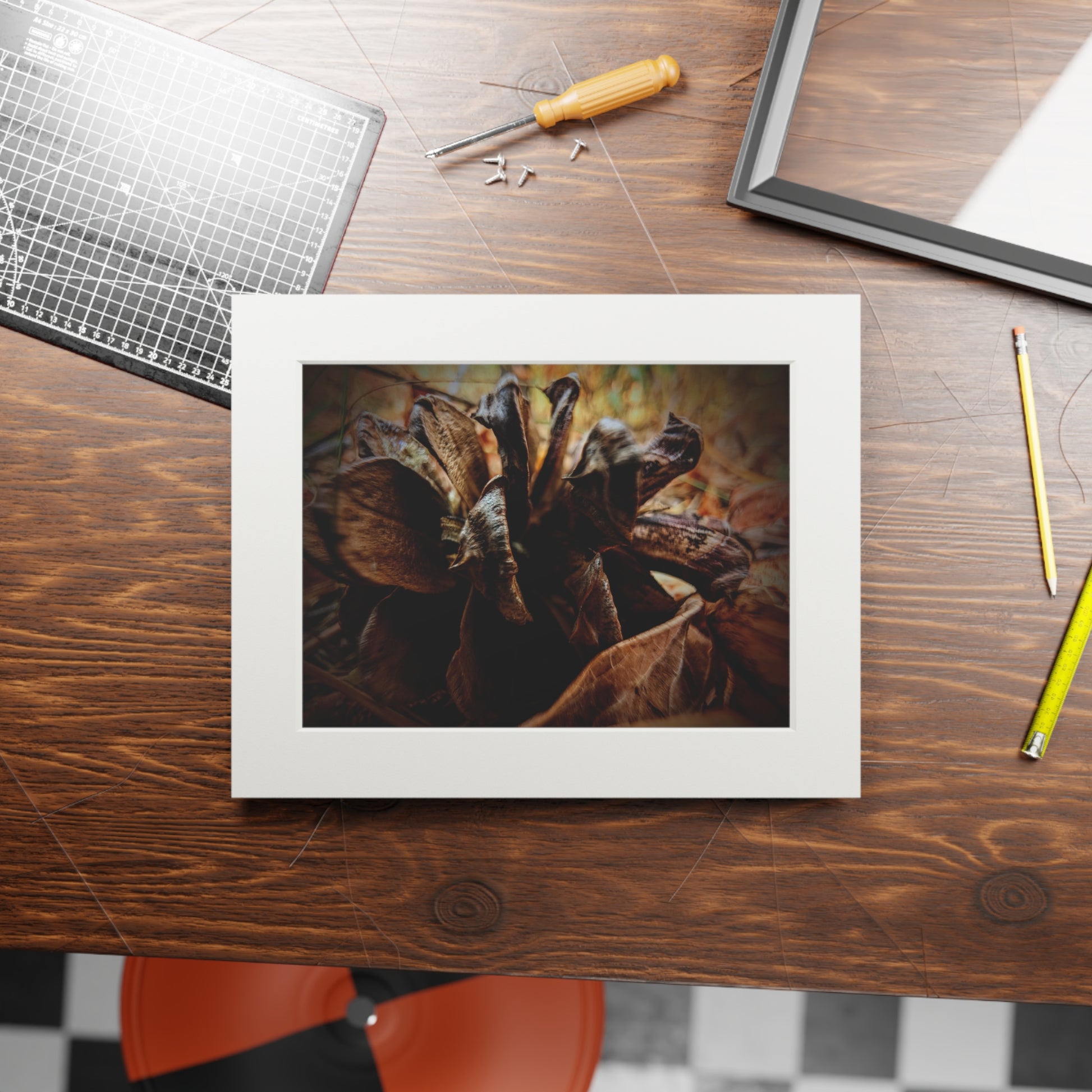 Framed picture of a pinecone on a forest floor. The picture is sitting on a wooden table with tools and a chair in the background