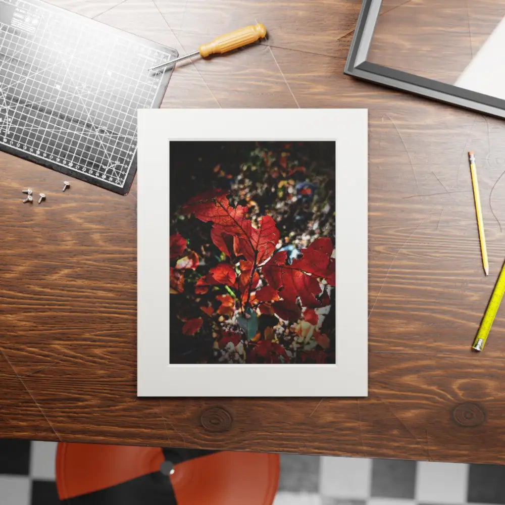 Autumn’s Fire Home Decor