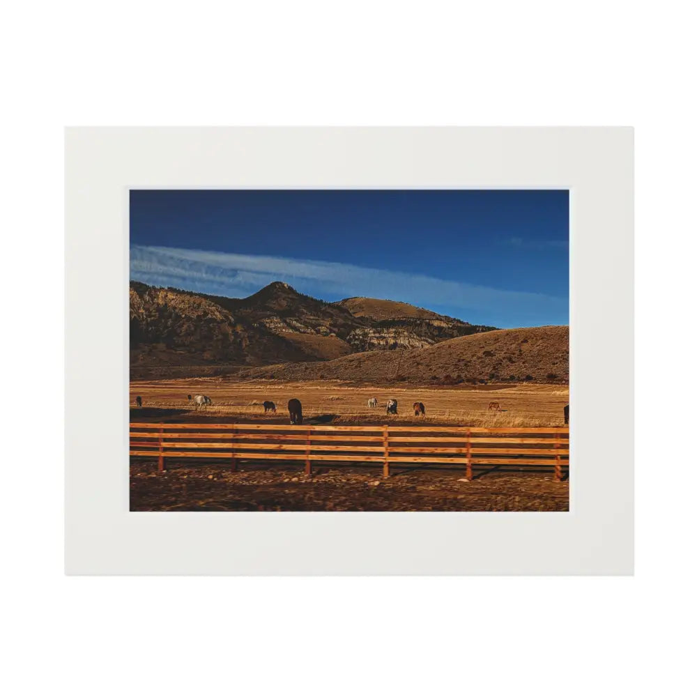 Herd of Horses Photography Print | Wildlife Landscape Art 14″ x 11″ (Horizontal) / White Home Decor