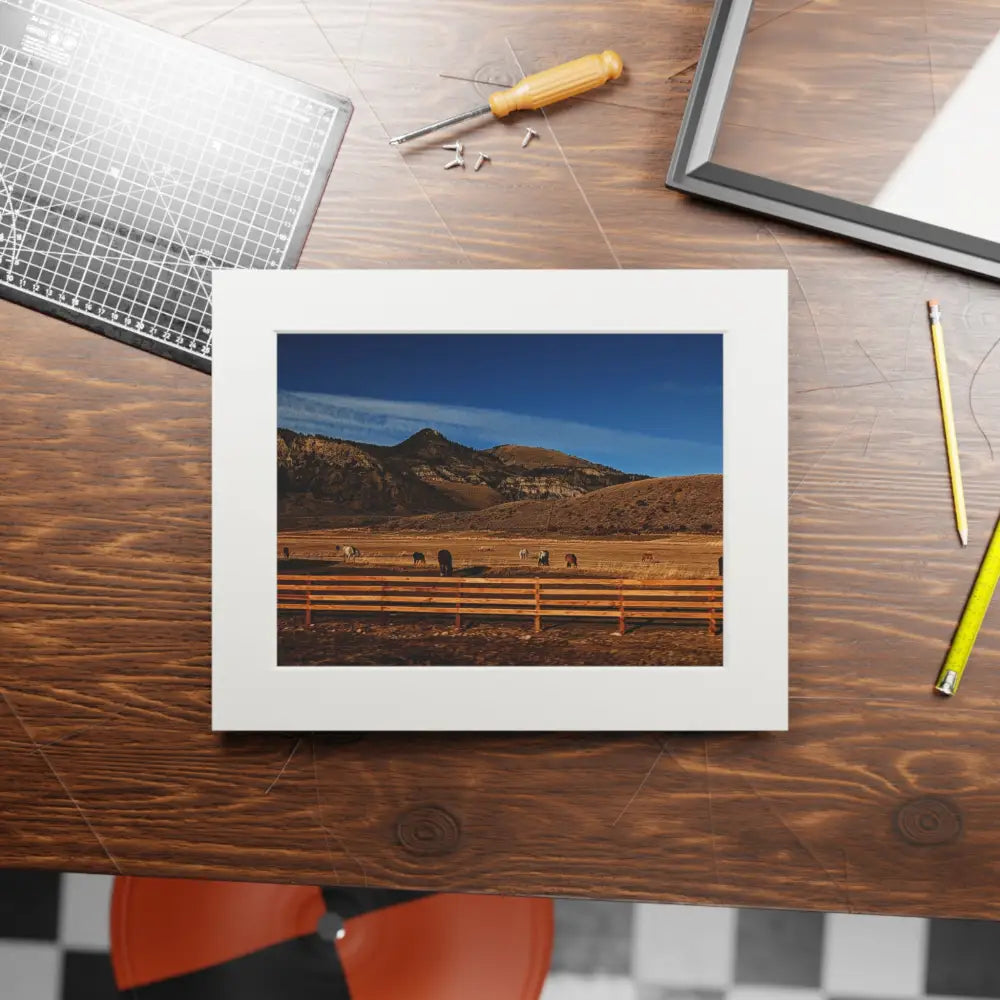Herd of Horses Photography Print | Wildlife Landscape Art Home Decor