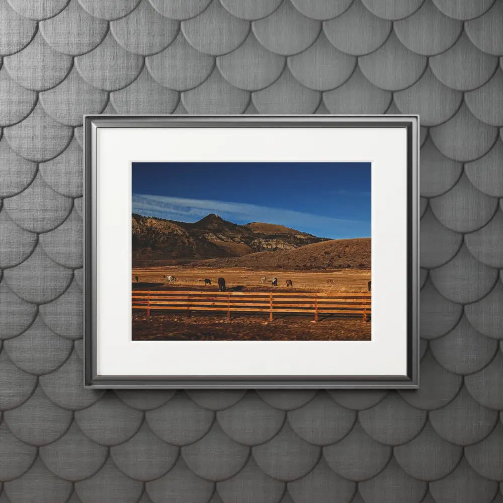 Herd of Horses Photography Print | Wildlife Landscape Art Home Decor