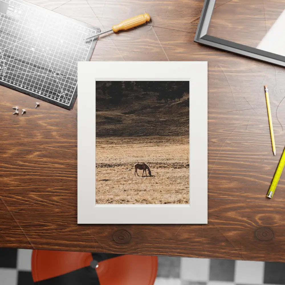 Wild Horse Photography Print | Mountain Wildlife Art Print